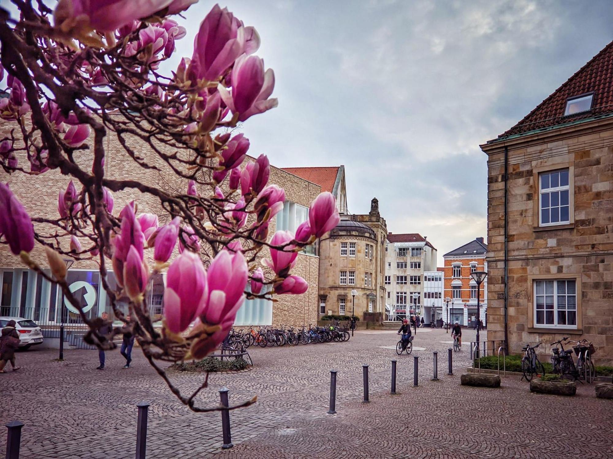 Stilvolles Im Herzen Von Apartment Osnabrueck
